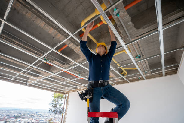 Best Residential Plumbing Services  in Iowa City, IA